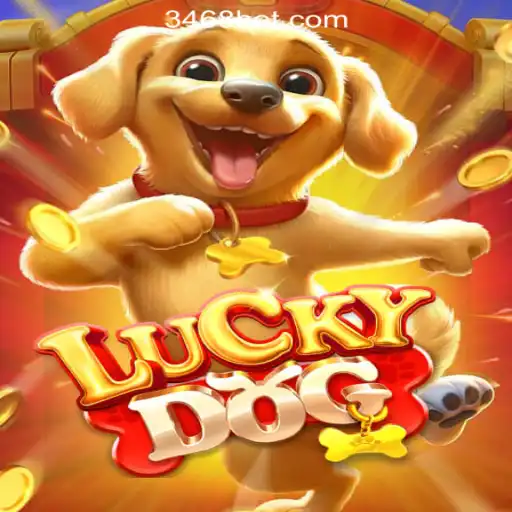 Exploring LuckyDog: The Top Slots Game from 468bet.com Oficial Slots Brasil #1